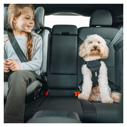 Arnés de seguridad para perros Thule Cappy S Negro