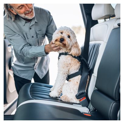 Arnés de seguridad para perros Thule Cappy S Negro