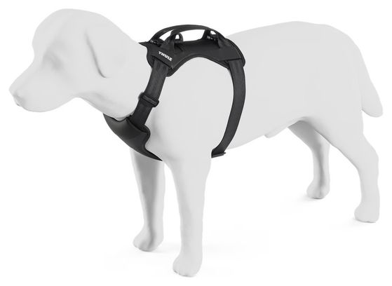Arnés de seguridad para perros Thule Cappy M negro
