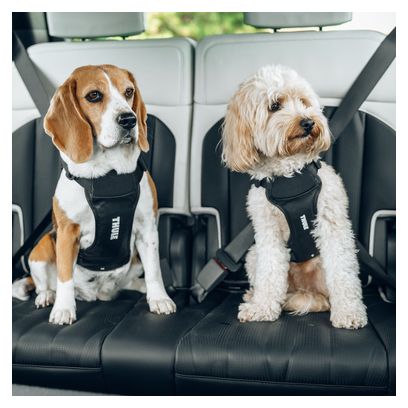 Arnés de seguridad para perros Thule Cappy M negro