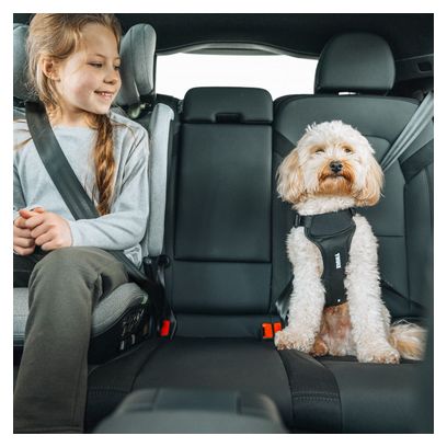 Arnés de seguridad para perros Thule Cappy M negro