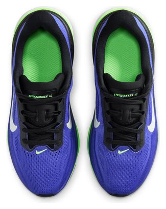 Nike Pegasus 42 Laufschuhe Blau/Grün für Kinder