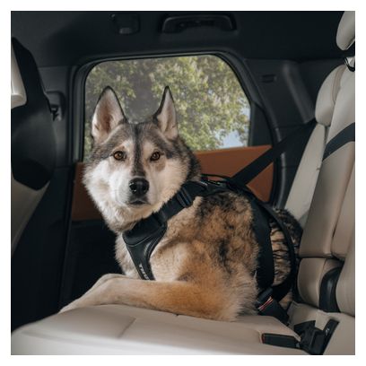 Arnés de seguridad para perros Thule Cappy L Negro