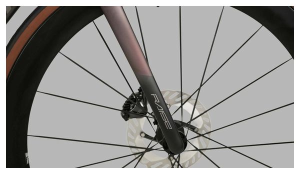 Bicicletta da strada Megamo Raise 03 Shimano Ultegra Di2 12V 700 mm Marrone 2026