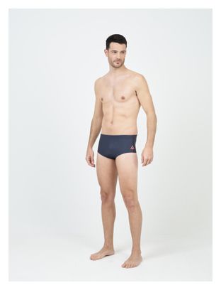 Aqua Sphere Essential Brief 14CM Grey Swim Shorts