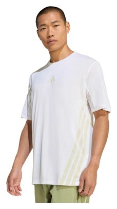 Camiseta de manga corta adidas Terrex Xperior Climacool+ Blanca para hombre
