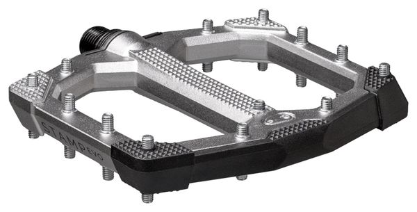 Coppia di pedali piatti Crankbrothers Stamp Evo - Small Argento
