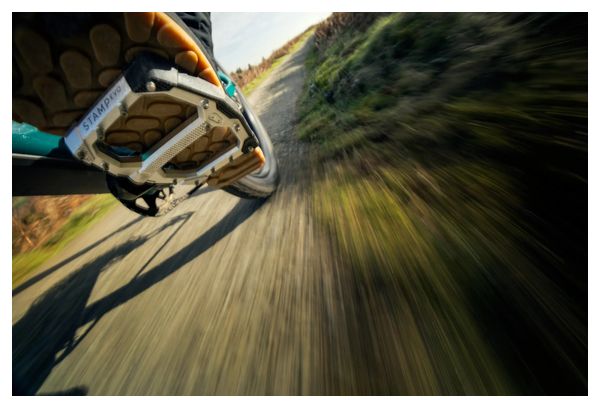 Coppia di pedali piatti Crankbrothers Stamp Evo - Small Argento