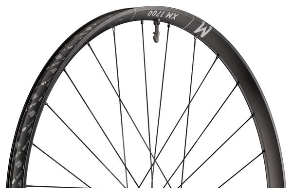 Ruota posteriore DT Swiss XM 1700 Spline 30 da 29'' | Boost 12x148 mm | Center Lock