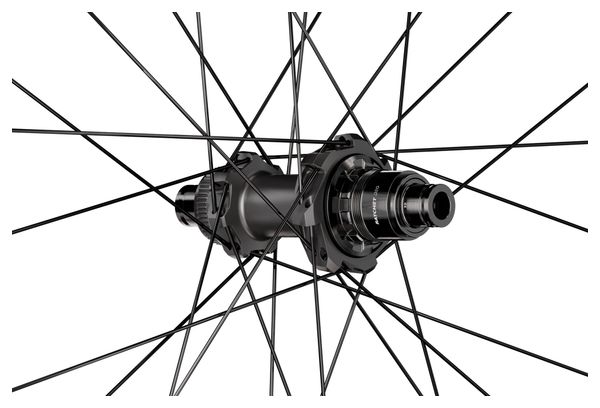 Ruota posteriore DT Swiss XM 1700 Spline 30 da 29'' | Boost 12x148 mm | Center Lock