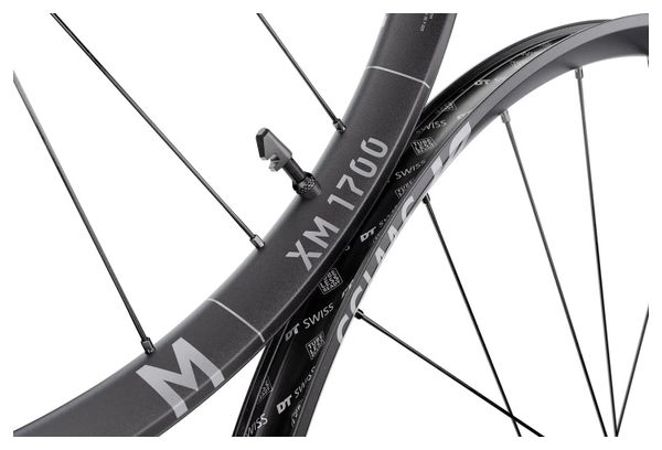 Ruota posteriore DT Swiss XM 1700 Spline 30 da 29'' | Boost 12x148 mm | Center Lock
