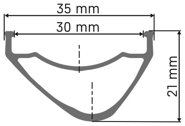 Ruota posteriore DT Swiss XM 1700 Spline 30 da 29'' | Boost 12x148 mm | Center Lock