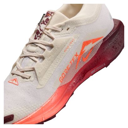 Chaussures Trail Nike Pegasus Trail GTX Beige/Rouge Homme