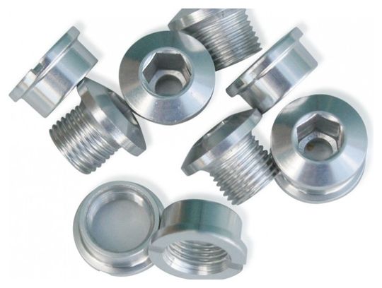 ICE Set von 5 Kettenblattschrauben R-BOLT 6,5 mm Silber