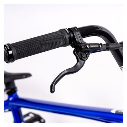 BMX Race Inspyre Evo Disk 20'' Blue 2024