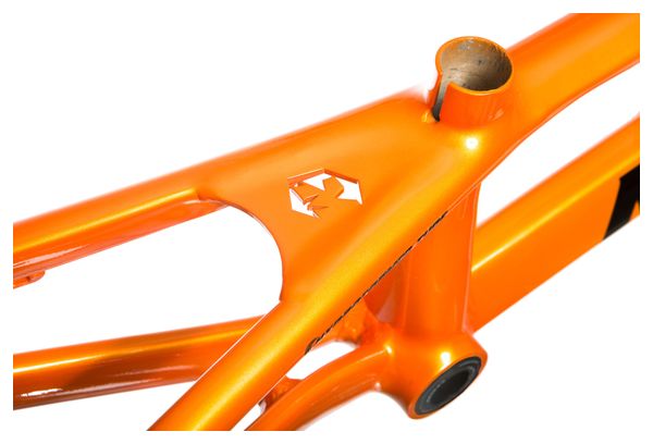 Cadre Aluminium THEPUNISHER V2 ''PUMPKIN'' PRO (20.5")