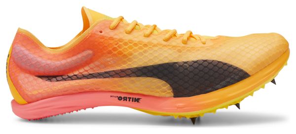 Chaussures Athlétisme Puma evoSPEED Distance Nitro Elite+ 4 Orange Rose Homme