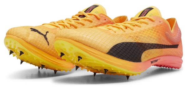 Puma evoSPEED Distance Nitro Elite+ 4 Orange Pink Men's Track &amp; Field Shoes
