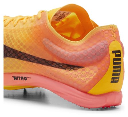Puma evoSPEED Distance Nitro Elite+ 4 Orange Pink Men's Track &amp; Field Shoes