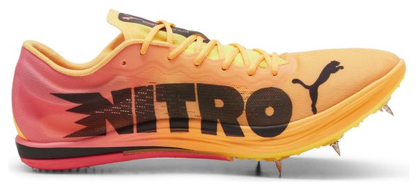 Chaussures d'Athlétisme Puma evoSPEED Long Distance Nitro Elite 2 Orange Rose Homme