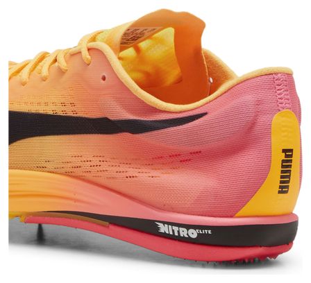 Puma Track &amp; Field Shoes evoSPEED Long Distance Nitro Elite 2 Orange Pink Men's