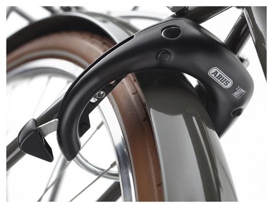 Vélo de Ville Électrique Electra Loft Go! 5i Shimano Nexus 5V 700 mm 250Wh Portobello 2022