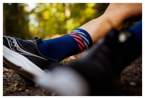 Calcetines Incylence Merino Light Lanes Azul