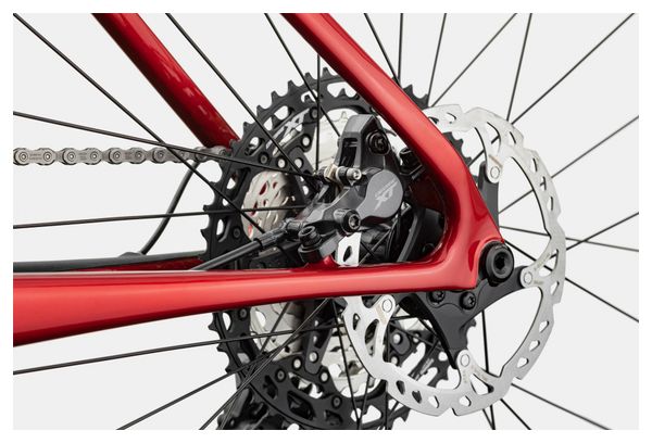 Cannondale Scalpel HT Carbon 2 BTT rígida Shimano XT 12V 29 '' Roja