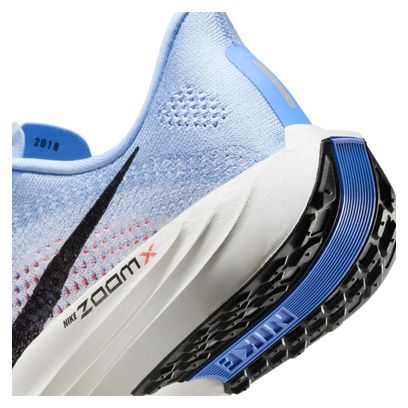 Nike Pegasus Plus Laufschuhe Blau Damen