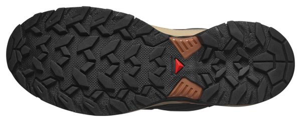 Chaussures de Randonnée Salomon X Ultra 360 GTX Gris Homme