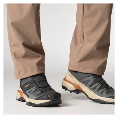 Chaussures de Randonnée Salomon X Ultra 360 GTX Gris Homme