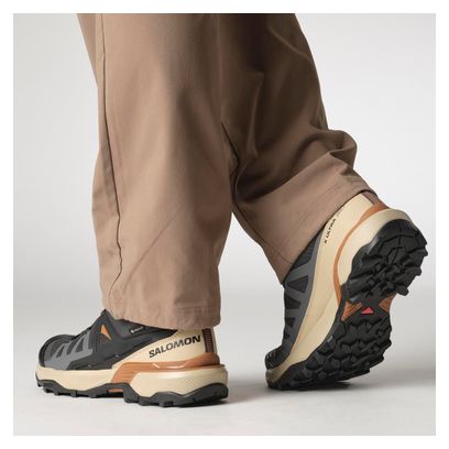 Chaussures de Randonnée Salomon X Ultra 360 GTX Gris Homme