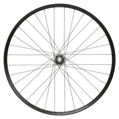 Roue Arrière Hope Fortus 35W Pro 5 29'' | Boost 12x148 mm | 6 Trous | Argent