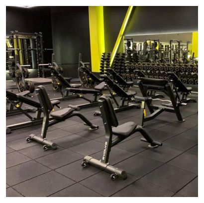 Evolve Fitness PR-205 - Banc de musculation pour le fitness