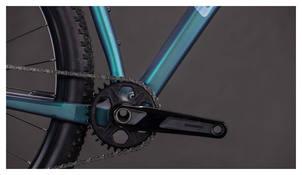 Cube Reaction C:62 Pro Hardtail MTB Shimano Deore XT 12S 29'' Polar Light Blue 2026