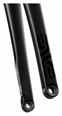 Enve AR Disc Rigid Fork | 12x100 mm (ohne Schutzblech)