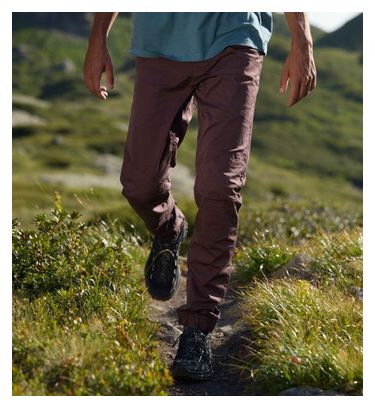 Looking For Wild Fitz Roy-broek, bruin, heren