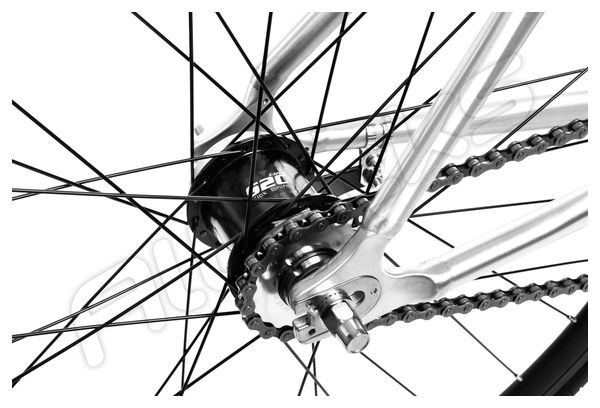 Santafixie Raval 30mm Drop 2V Fixie Bike Raw