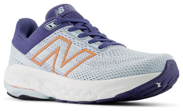 Scarpe da corsa New Balance Fresh Foam X 860 v14 blu da donna