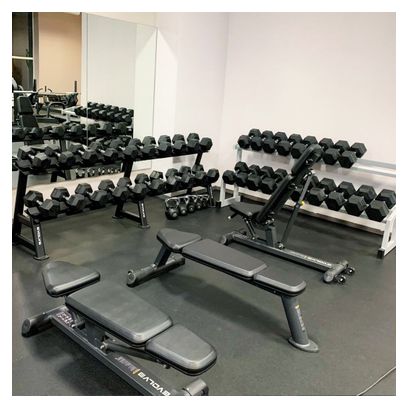 Banc plat professionnel Evolve Fitness PR-201