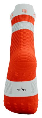 Calze Compressport Pro Racing V4.0 Run High Arancione/Bianco