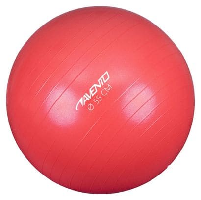 Avento Ballon de fitness/d'exercice Diamètre 55 cm Rose