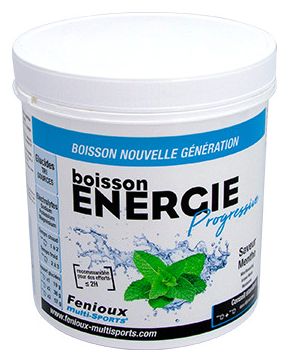 Boisson Fenioux Energie Progressive Menthe 500 g