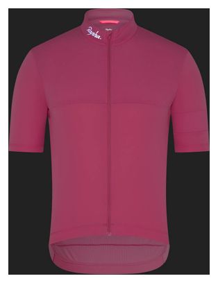Element Roze Heren Rapha Brevet Short Sleeve Jersey
