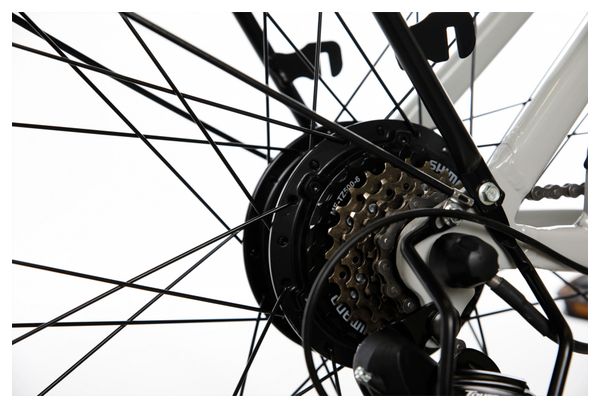 Bicyklet Louison Elektro-Stadtfahrrad Shimano Tourney 6S 400 Wh 700 mm Grau