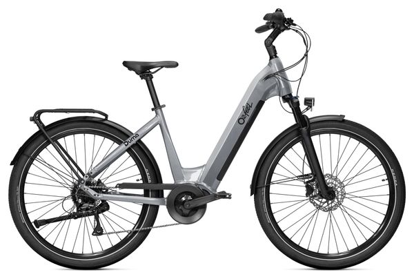 klarfit fahrradanhänger ersatzteile für Hunde, 600D Klappbar, Hundeanhänger Fahrrad mit Reflektoren, Warnflagge & Sicherheitsleine, Anhänger mittelgroßer Hund bis zu 40 kg, Grau Haustier Category:City Urban Citybike_Shimano Nexus C3000 7  Drehgriff Farbe Aufschrift:Türkis Bici Mtb Ricambi Mtb