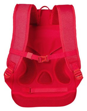 Basil Flex Bicycle Backpack 17 L Red