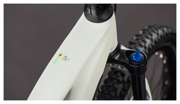 Cube Reaction Hybrid Pro 800 Trapezio Elettrico Hardtail MTB Shimano 12S 800 Wh Bosch 100 Nm 29'' Desert Stone Beige Erbe Secche Verde 2026