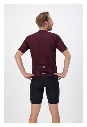 Maillot Manches Courtes Velo Rogelli Explore - Homme