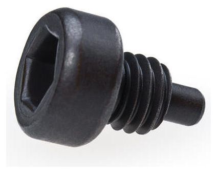 Perno di ricambio Park Tool per chiave inglese SPA-6 / chiave a tazza HCW-4